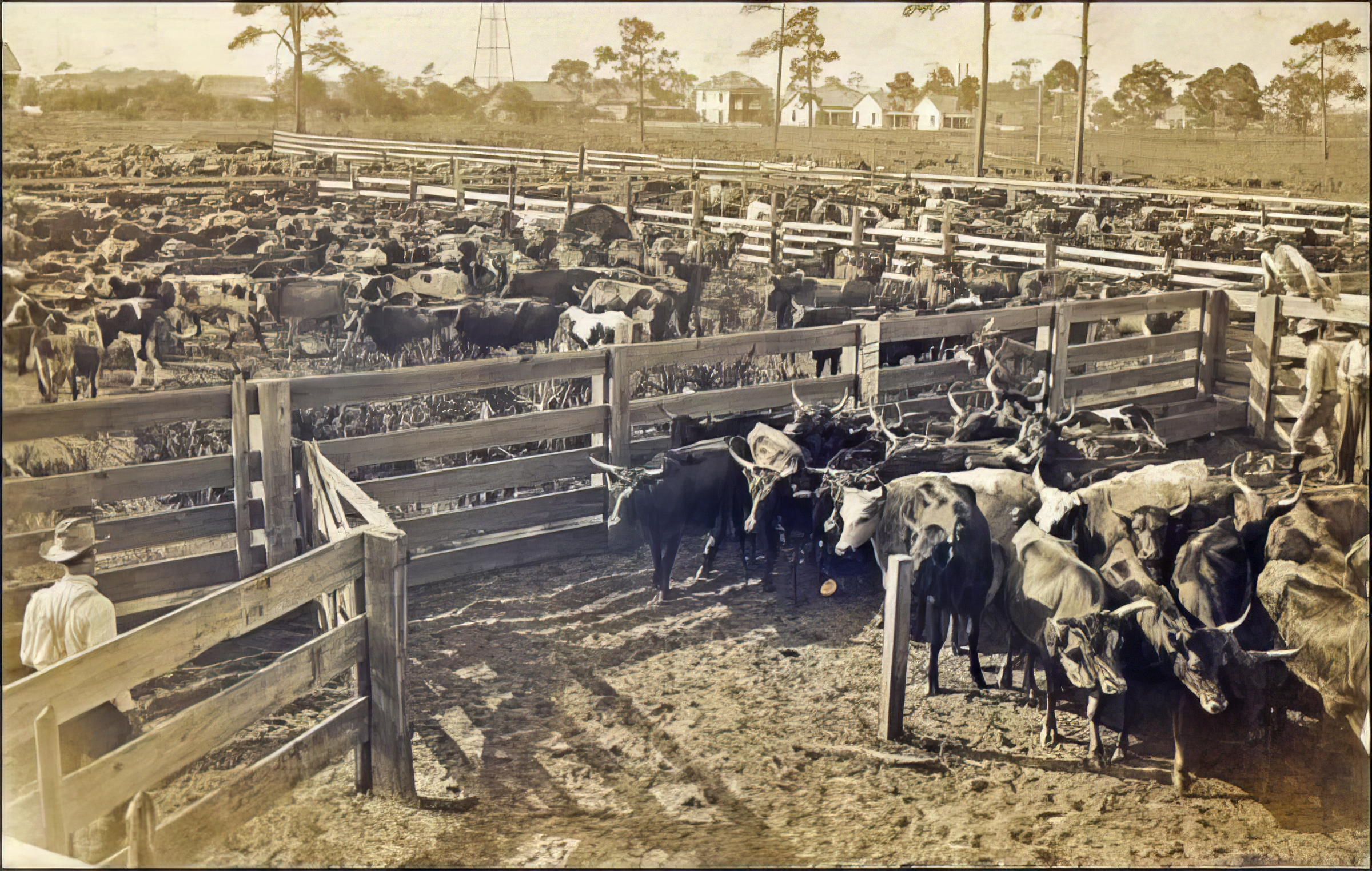 Before Cigars: Tampa’s First International Trade Story